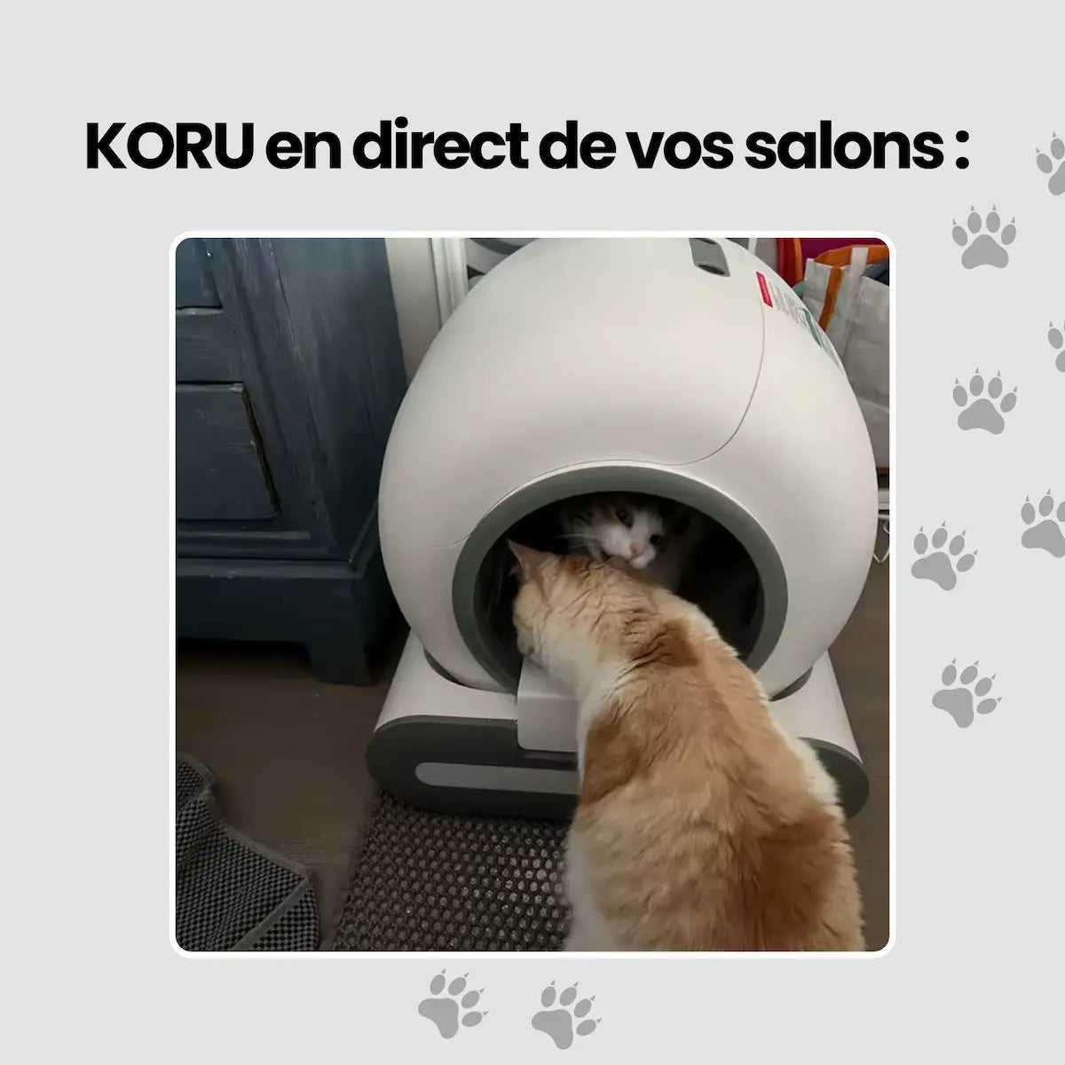 KORU ONE - Litière Automatique pour Chat - Pack Tapis + Sacs Inclus